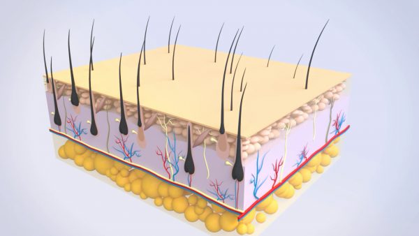 醫(yī)學(xué)動(dòng)畫制作