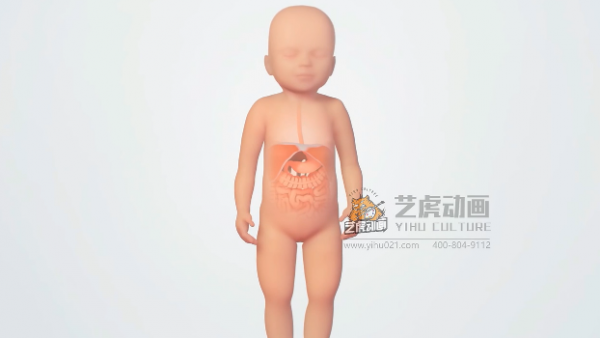 醫(yī)學(xué)動(dòng)畫視頻